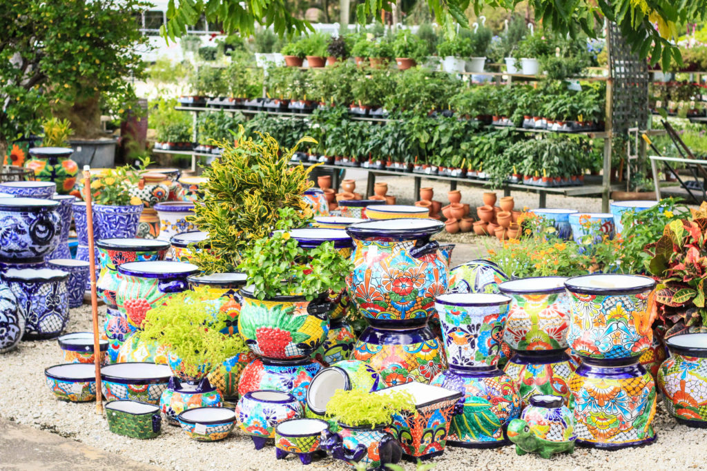 Mini Pot Gardens  Living Color Garden Center