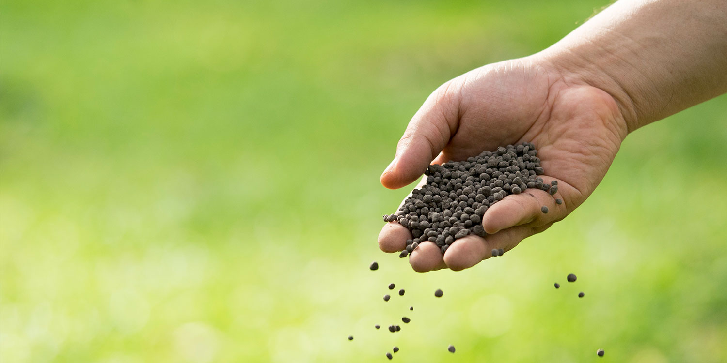 hand sowing fertilizer