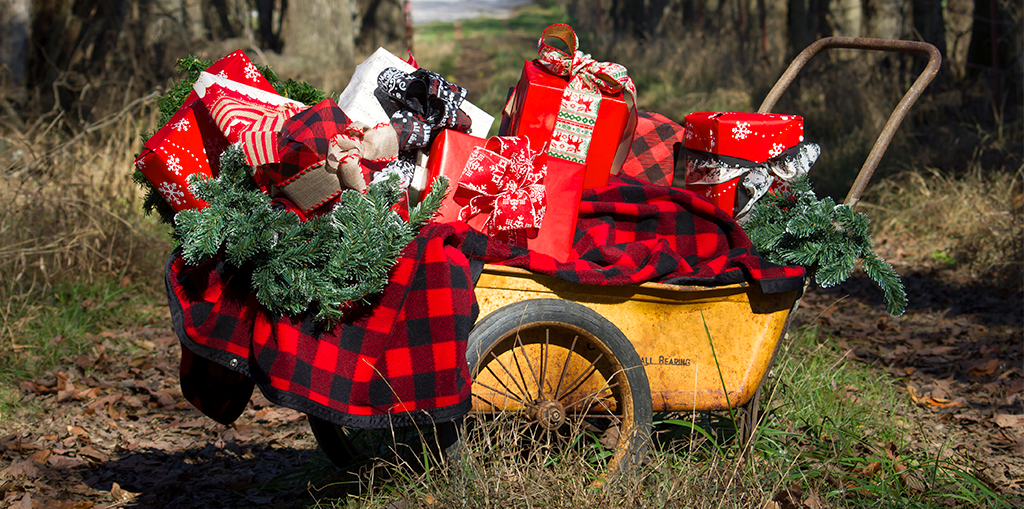 2019-gift-guide-for-gardeners-presents-in-vintage-lawn-cart