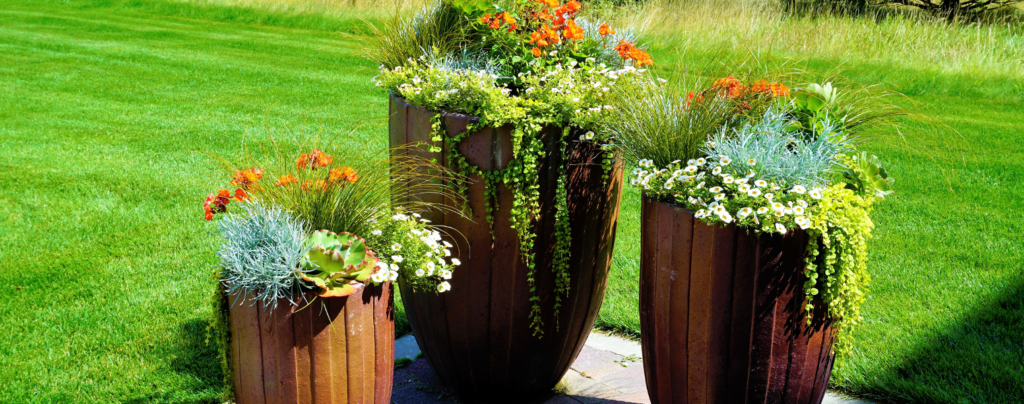 6-container-garden-ideas-for-landscaping-tall-containers