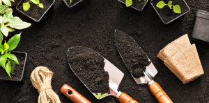 your-garden-tool-guide-all-the-basics-and-more-header-tool-plants