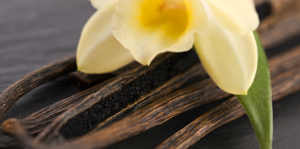 vanilla-orchids-orchid-and-beans-up-close-header
