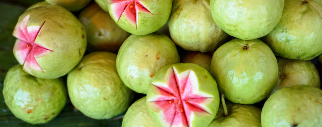 5-tropical-fruits-south-florida-guava