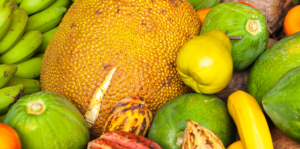 5-tropical-fruits-south-florida-various-colorful-tropical-fruits-header