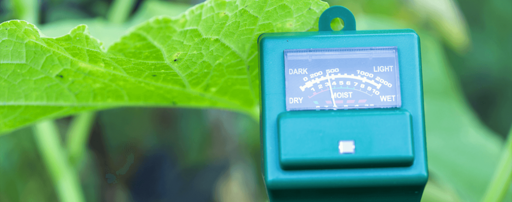 living color planting caring for key lime tree ph meter soil test