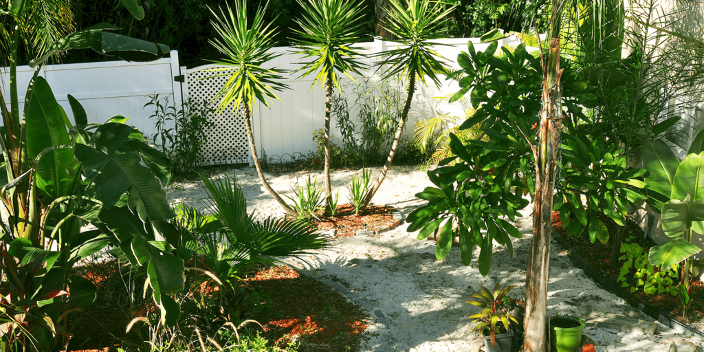 living color garden center goodbye lawn new landscape gravel tropical back yard
