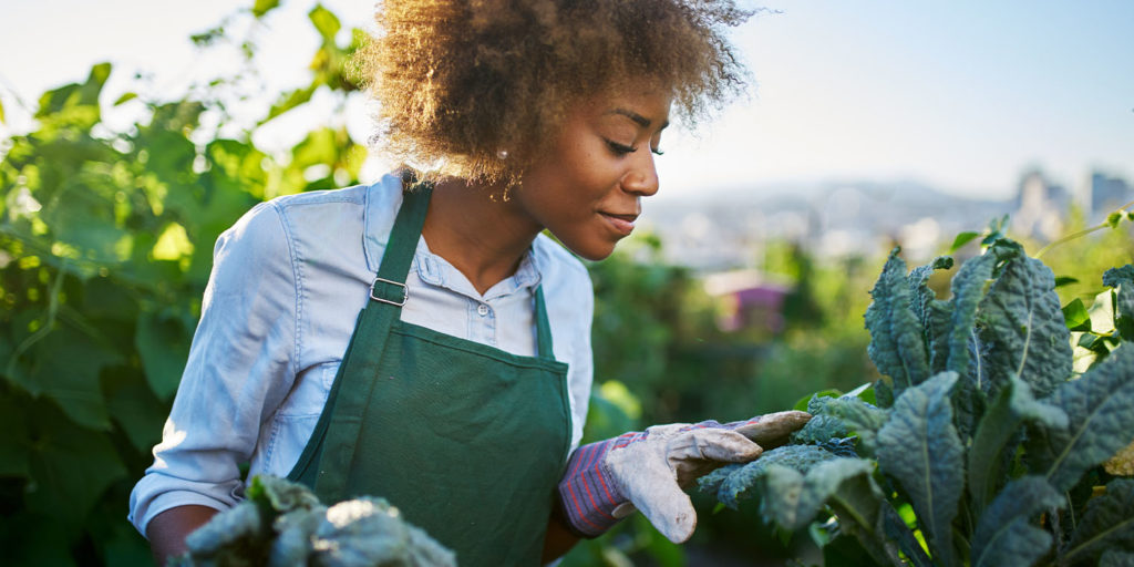 Living Color Garden Center-Wellness Gardening Guide-woman vegetable gardening