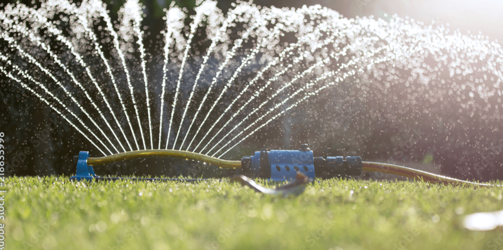 -sprinkler watering grass living color garden center