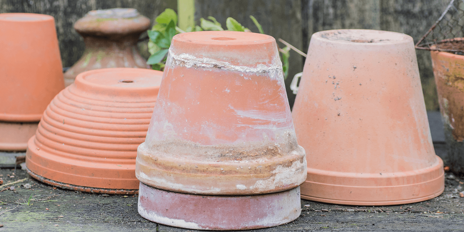 The Do’s and Don’ts of Terracotta Plant Pots Living Color Garden Center