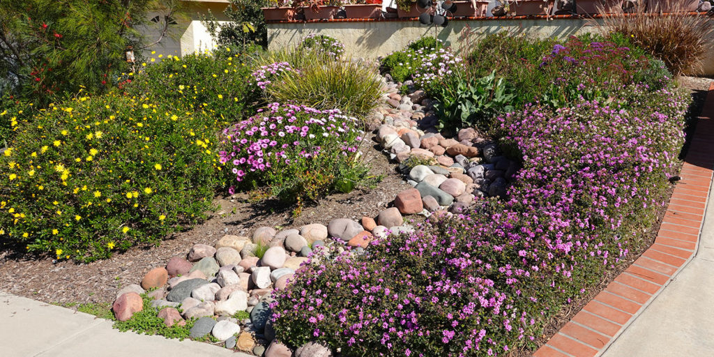 Living Color Garden Center - Trend Reports Less Lawn, More Garden-saving lawn with more gardens
