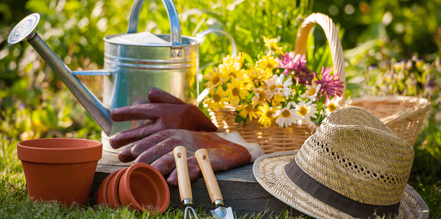 Gifts For Garden Lovers: Useful Items For a Gardener's Collection