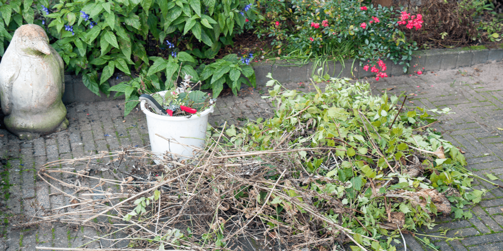 -living color garden center -pile of fall garden debris