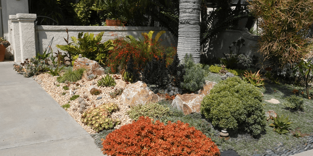 - living color garden center- xeriscaped front lawn