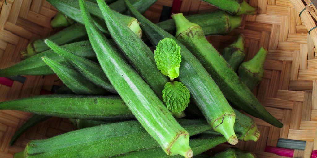 Living color garden center--How to Grow and Care for Okra in Fort Lauderdale-harvested okra