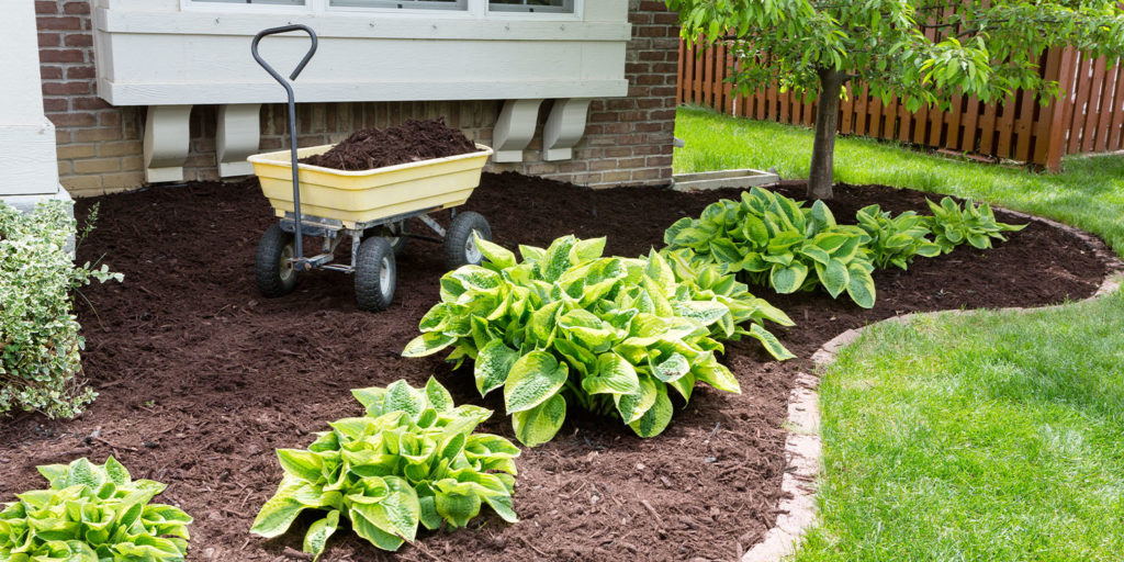 Living color garden center- Water Conservation Tips for Florida-adding mulch to garden