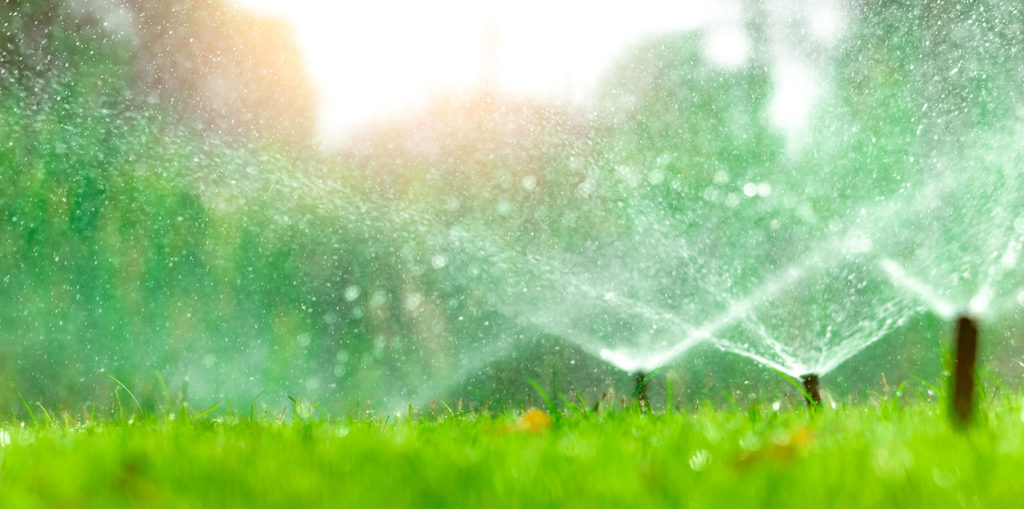Living color garden center- Water Conservation Tips for Florida-sprinklers on grass