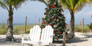 Living color garden center-Florida-Bring the Holiday Spirit to Your Fort Lauderdale Garden-christmas tree on beach