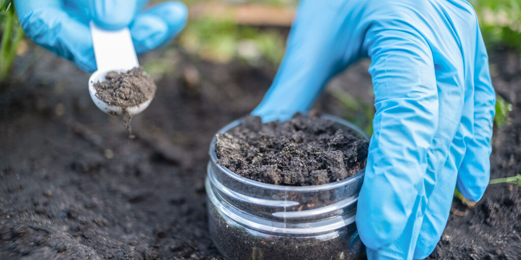 Living color garden center-Florida-Diagnosing Problems in Your Garden Soil-soil sample