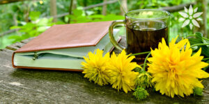 Living Color Garden Center-Florida-How to Start a Garden Journal-flower notebook