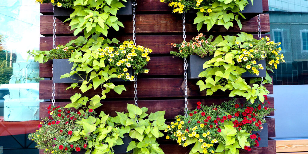 Mini Pot Gardens  Living Color Garden Center